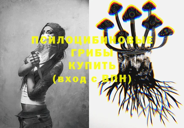 PSILOCYBIN Горно-Алтайск