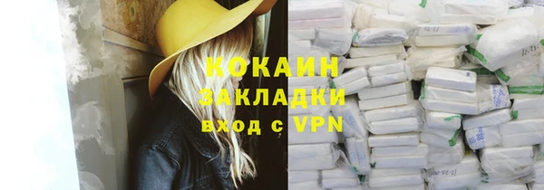 PSILOCYBIN Горно-Алтайск