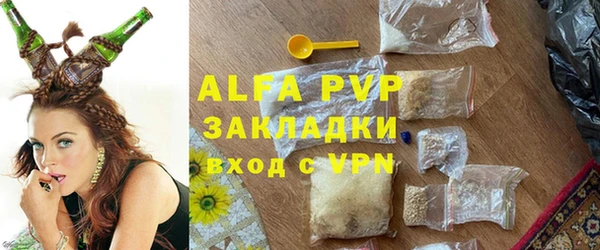 PSILOCYBIN Горно-Алтайск