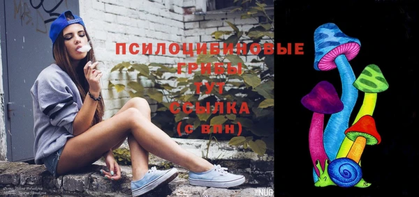 PSILOCYBIN Горно-Алтайск