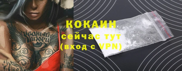 PSILOCYBIN Горно-Алтайск