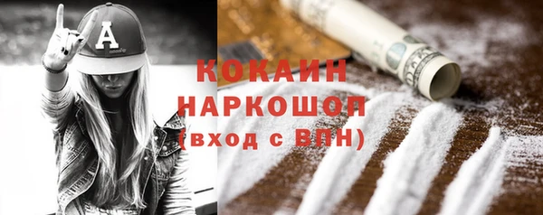 PSILOCYBIN Горно-Алтайск