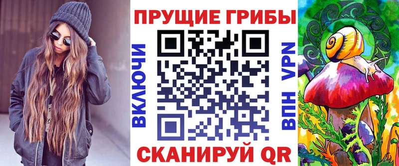 Купить  Кола  Псилоцибиновые грибы MAGIC MUSHROOMS 